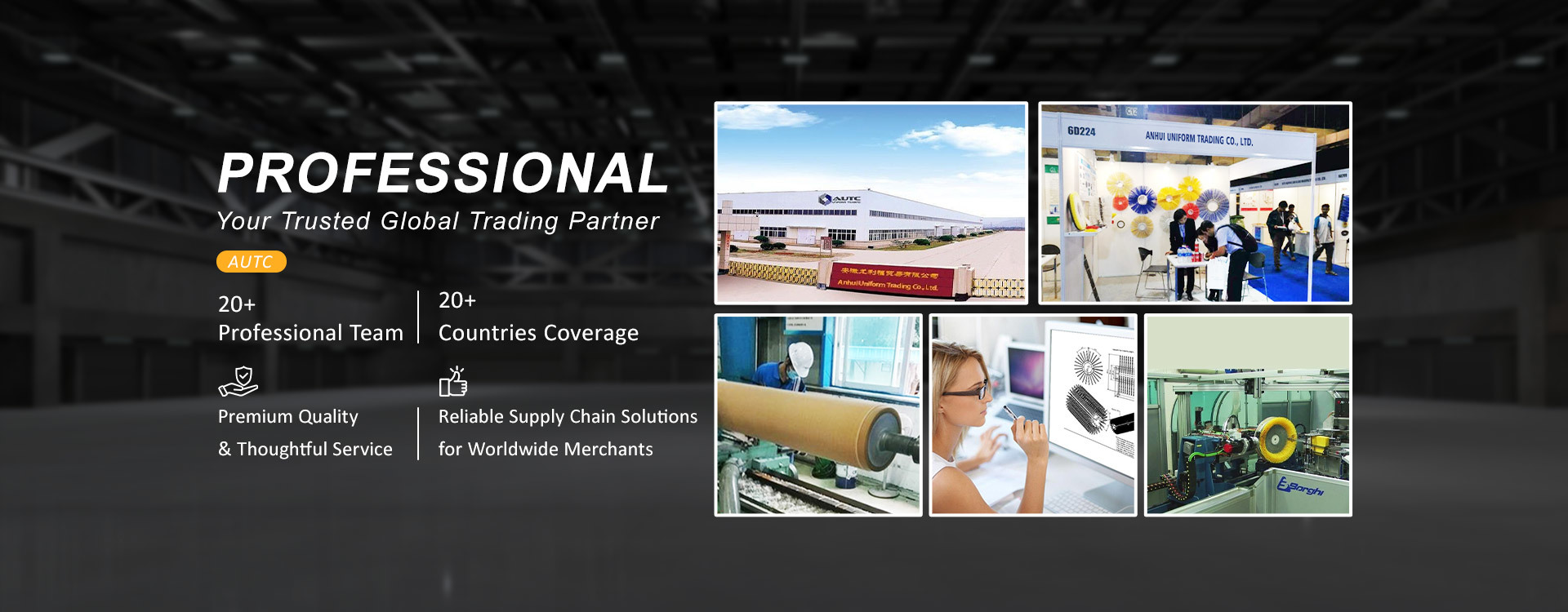 جودة فرشاة كاسحة الثلج مصنع